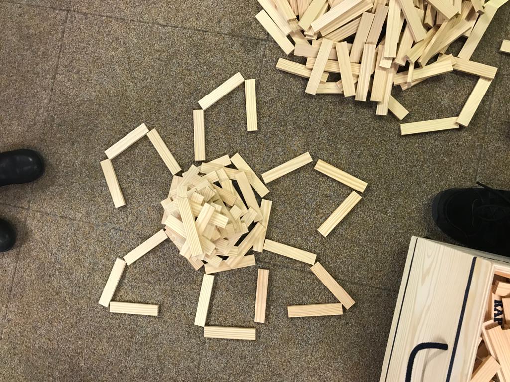 KAPLA Blocks